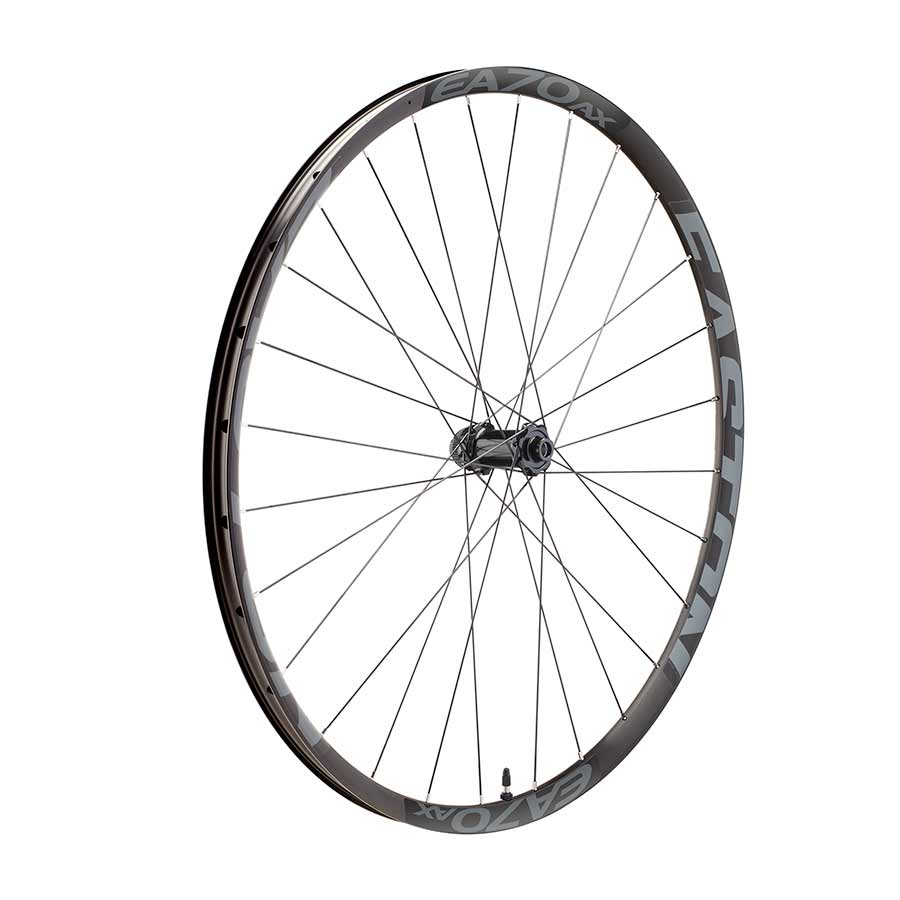 Rueda delantera Easton EA70 AX - 700 12 x 100 mm, bloqueo central, negra