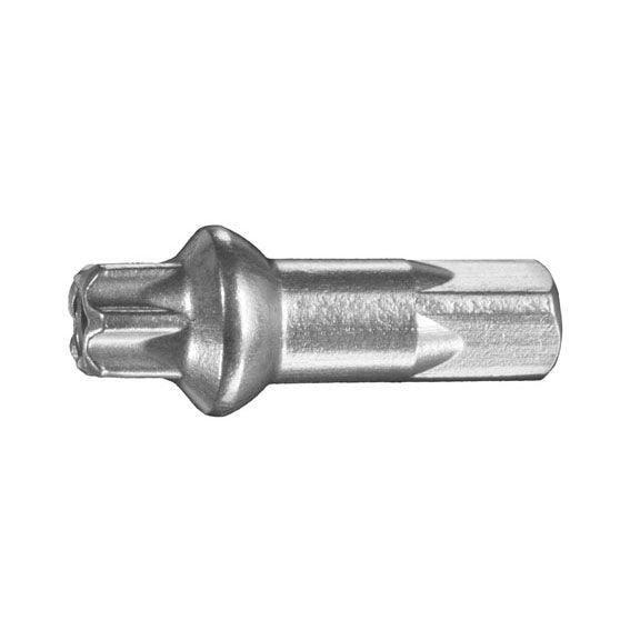Cabecillas de aluminio DT Swiss Squorx Pro Head: 2,0 x 15 mm, color plata, caja de 100