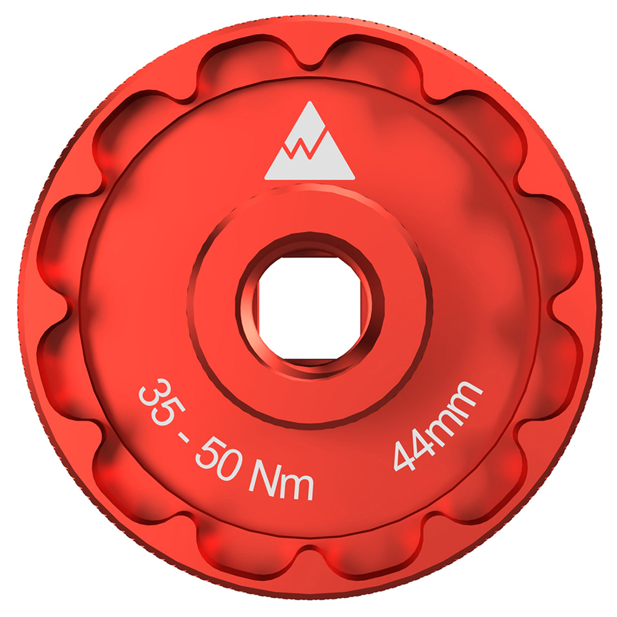 Dado de BB de brida fina para fabricación de ruedas de 44 mm - Muesca 12/24