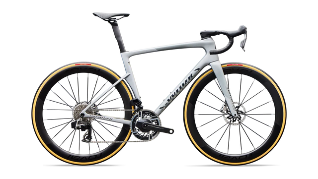 S-Works Tarmac SL9 - SRAM RED AXS - Satin Silver Dust / 44