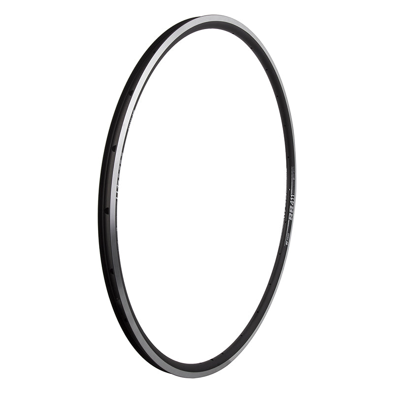 Llanta DT Swiss RR 411 - Llanta 700 negra 24H