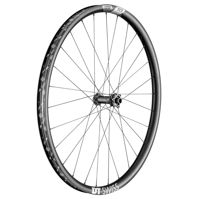 Rueda delantera DT Swiss EXC 1501 Spline One - 29" 15 x 110 mm Boost 6 tornillos negra