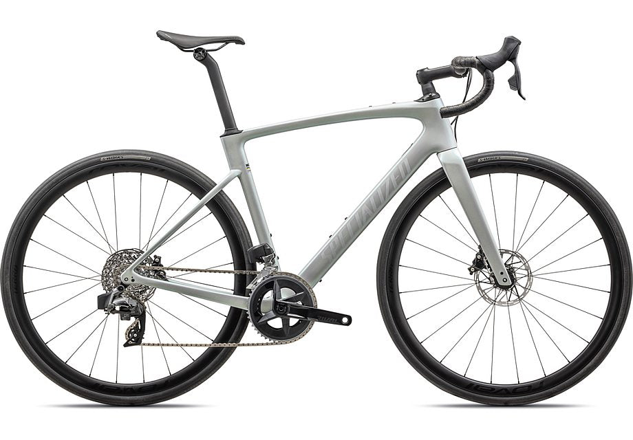 Roubaix Expert 2025