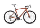 Roubaix Expert 2025