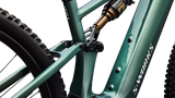 S-Works Turbo Levo R