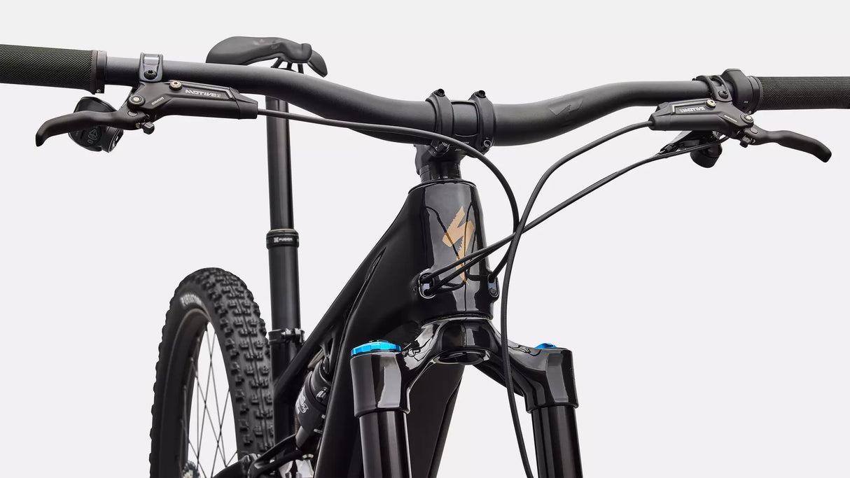 Turbo Levo R Expert