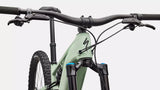 Turbo Levo R Expert