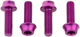 Wolf Tooth Water Bottle Cage Bolts