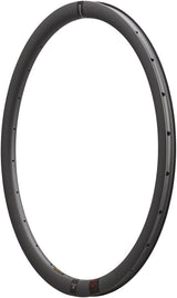 Llanta Reserve Wheels Reserve 37 - Disco de carbono 700c 24H