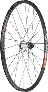 Rueda delantera DT Swiss 350/XM421 de 29", 15 x 110 mm, con bloqueo central, color negro