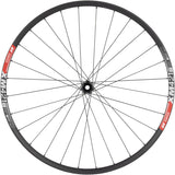 Rueda delantera DT Swiss 350/XM421 de 29", 15 x 110 mm, con bloqueo central, color negro