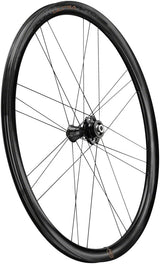 Rueda delantera Campagnolo Bora Ultra WTO 33 - 700c 12 x 100 mm Center-Lock, ajuste bidireccional, gris