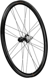 Campagnolo Bora Ultra WTO 33 Rear Wheel - 700c 12 x 142mm Center-Lock N3W 2-Way Fit Gray