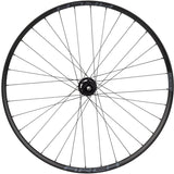 Quality Wheels DT 350 / Stans Arch S2 Front Wheel - 29" 15 x 110mm 6-Bolt BLK
