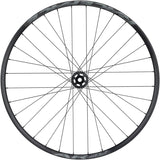 Quality Wheels Bear Pawls / RaceFace AR Front Wheel - 29" 15 x 110mm 6-Bolt BLK