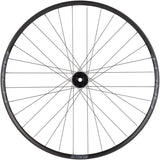 Rueda delantera Stans Arch S2 - 29" 15 x 100 mm 6 tornillos negra