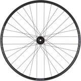 Rueda trasera Stans Arch S2 - 29" 12 x 142 mm 6 tornillos XDR