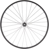 Quality Wheels Value Double Wall Series Front Wheel - Black - 650b QR x 100mm, Center-Lock