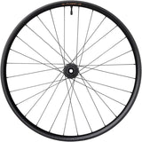 Rueda delantera Teravail Fluent Mountain - 29" 15 x 110 mm Boost 6-Bolt Carbon DT350 28H