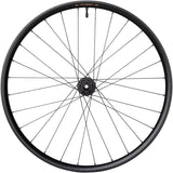 Rueda trasera Teravail Fluent Mountain - 29" 12 x 148 mm Boost 6-Bolt XD Carbon DT350 28H