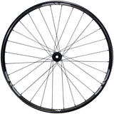 Rueda delantera ENVE Composites M8 - 29" 15 x 110 Center-Lock Negra