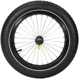 Burley Coho 16+ Wheel Kit