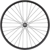 Ruedas de calidad Shimano HB-500 / Alex EM30 Disco Delantero - 29" 15 x 110 mm Center-Lock BLK