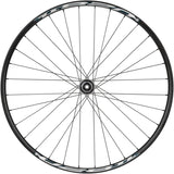 Quality Wheels Shimano Tiagra/Weinmann U28 Rear Wheel - 700c 12 x 142mm Center-Lock HG 10 BLK