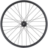 Quality Wheels Bear Pawls / Other Brother Darryl Rear Wheel - 26" Fat 12 x 197mm 6-Bolt HG 11 MTN BLK