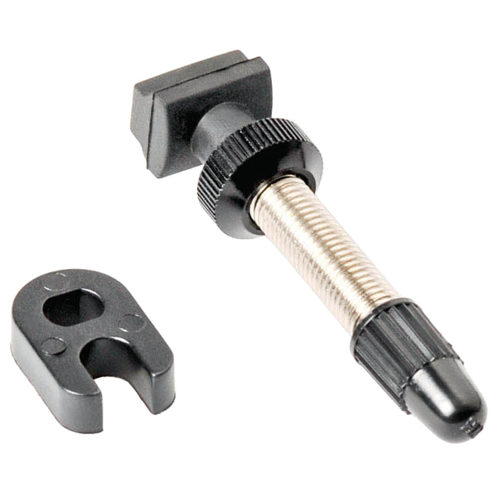 Válvula Tubeless DT Swiss - Carretera, Base Estrecha, 53 mm, Individual