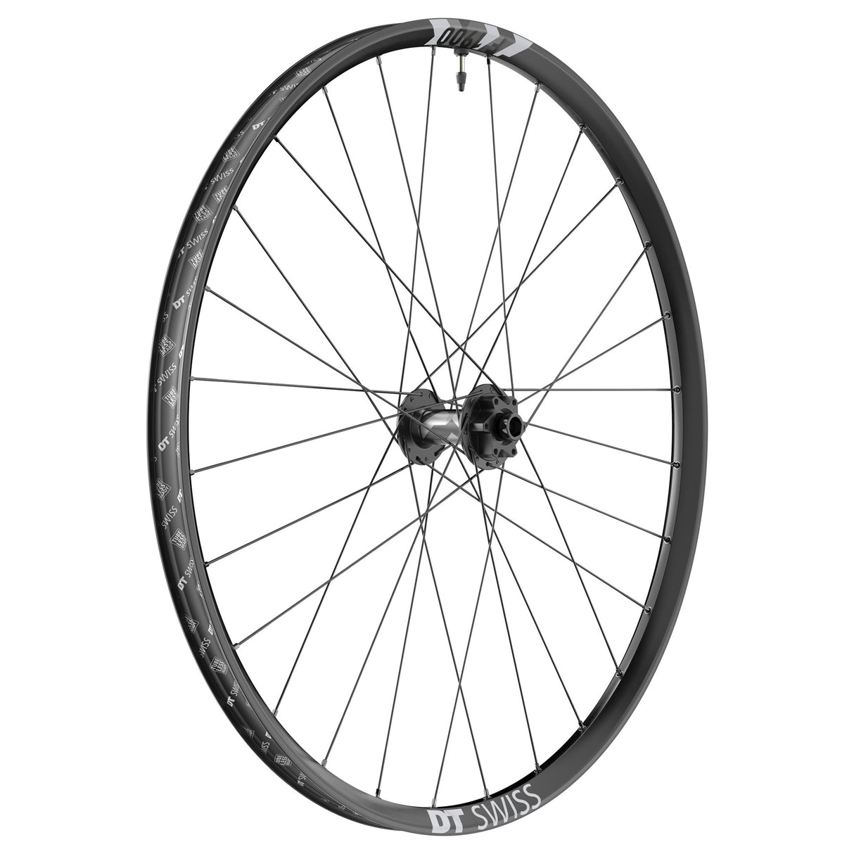 Rueda delantera DT Swiss F 1900 Classic - 29" 15 x 110 mm 6 tornillos negra