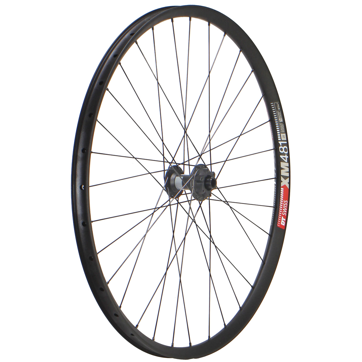 DT XM481 / DT 370 LN 29" Wheels