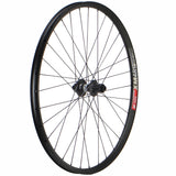 DT XM481 / DT 370 LN 29" Wheels