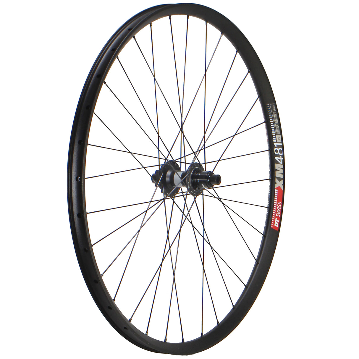 DT XM481 / DT 370 LN 29" Wheels